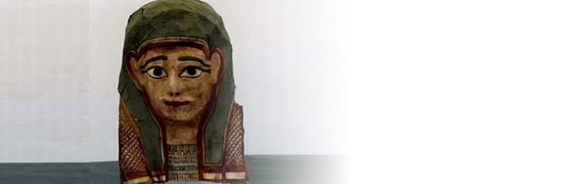 Foto: Cortesia do prof. Craig Evans / Reprodução do site Live Science